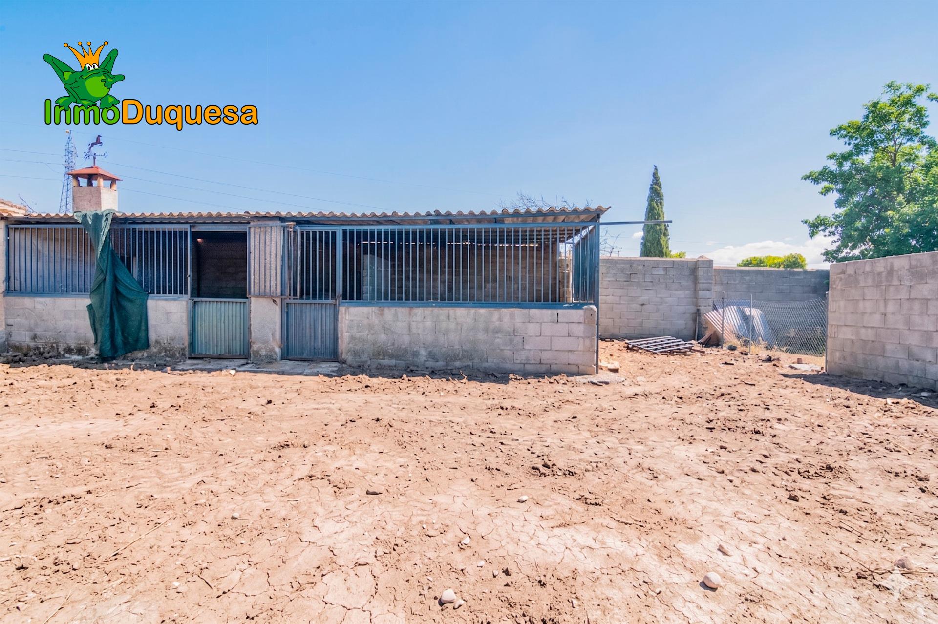 Finca con 2 NAVES y COBERTIZO. 2.100 m2 de solar. - foto 23