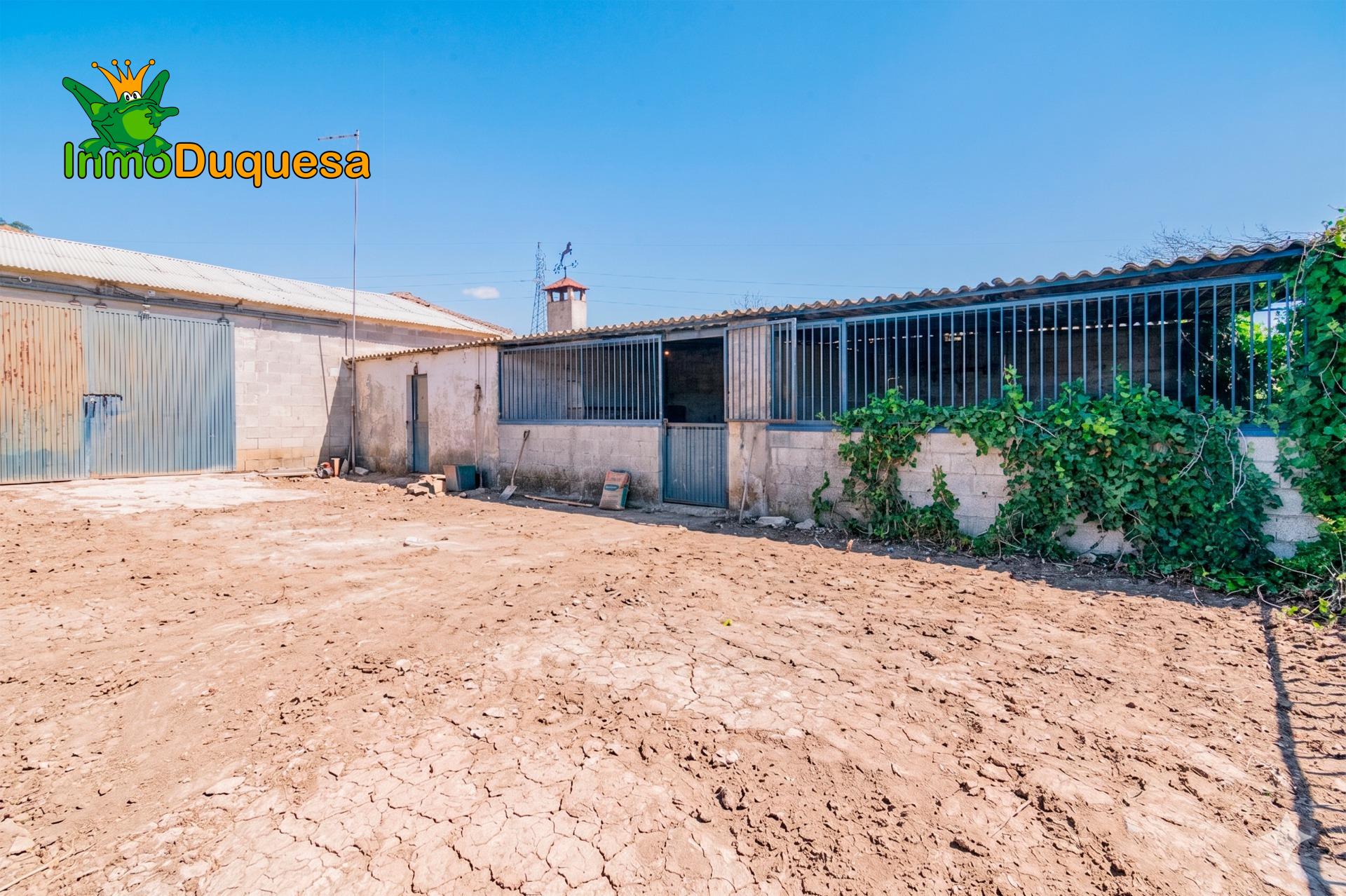 Finca con 2 NAVES y COBERTIZO. 2.100 m2 de solar. - foto 24