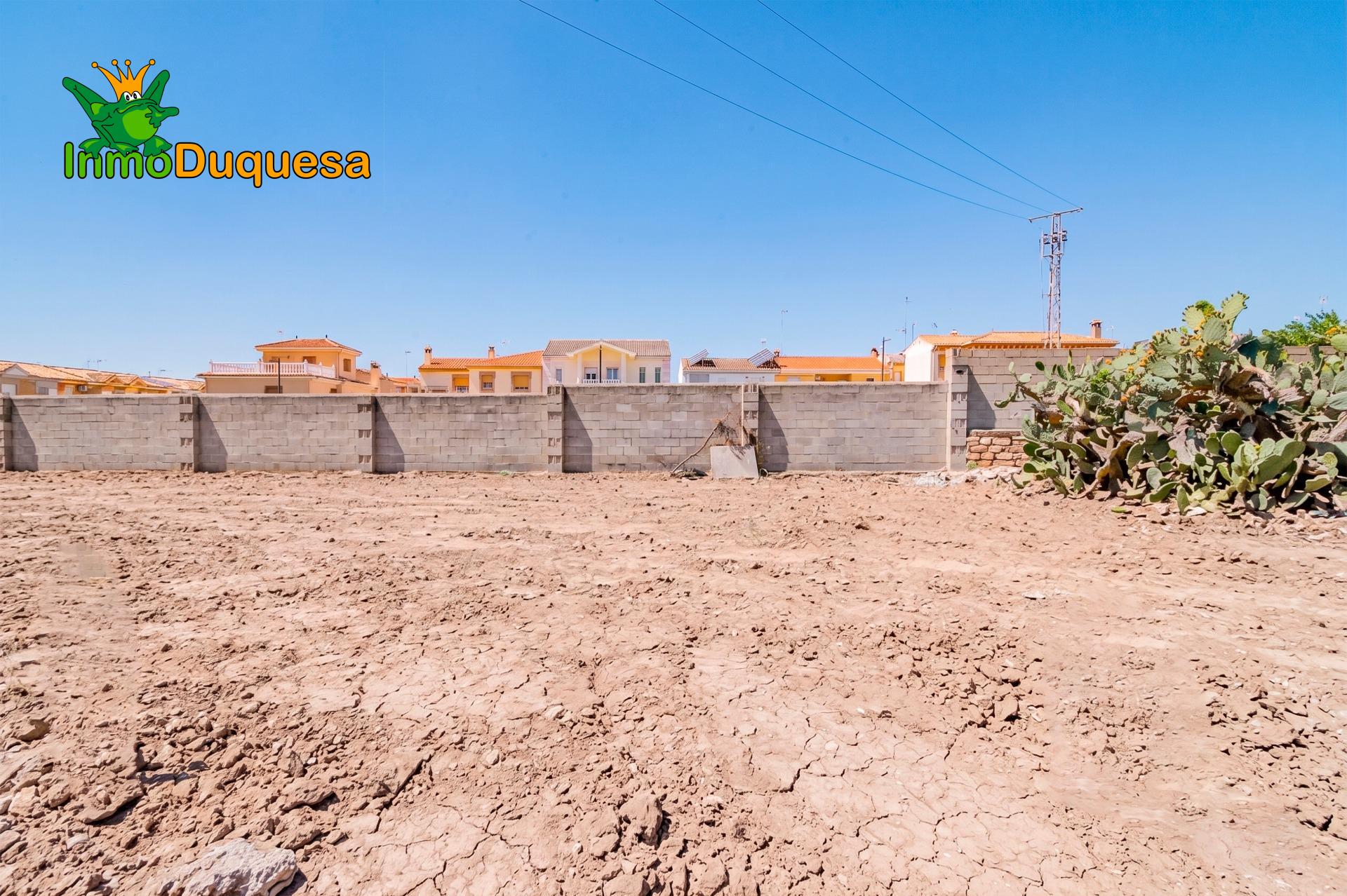 Finca con 2 NAVES y COBERTIZO. 2.100 m2 de solar. - foto 29