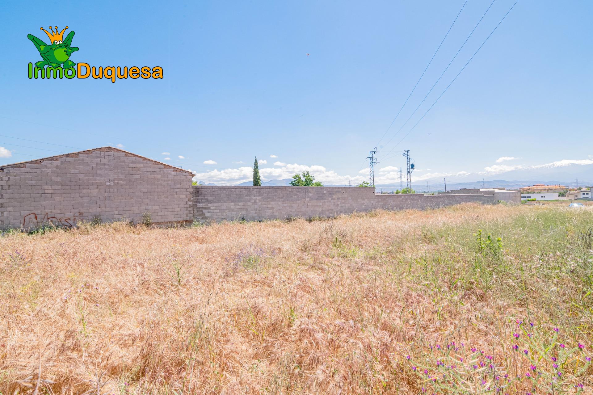 Finca con 2 NAVES y COBERTIZO. 2.100 m2 de solar. - foto 40