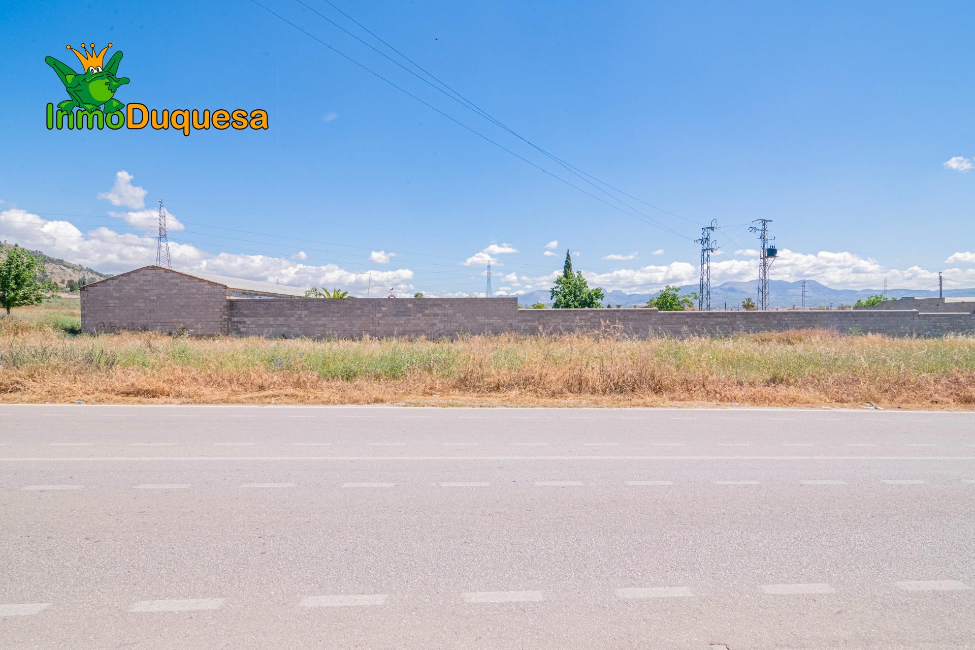 Finca con 2 NAVES y COBERTIZO. 2.100 m2 de solar. - foto 42