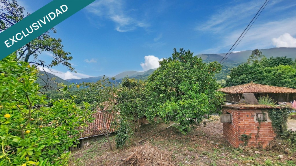 Donde el tiempo va despacio: tu casa, tu tierra y tu panera  - foto 14