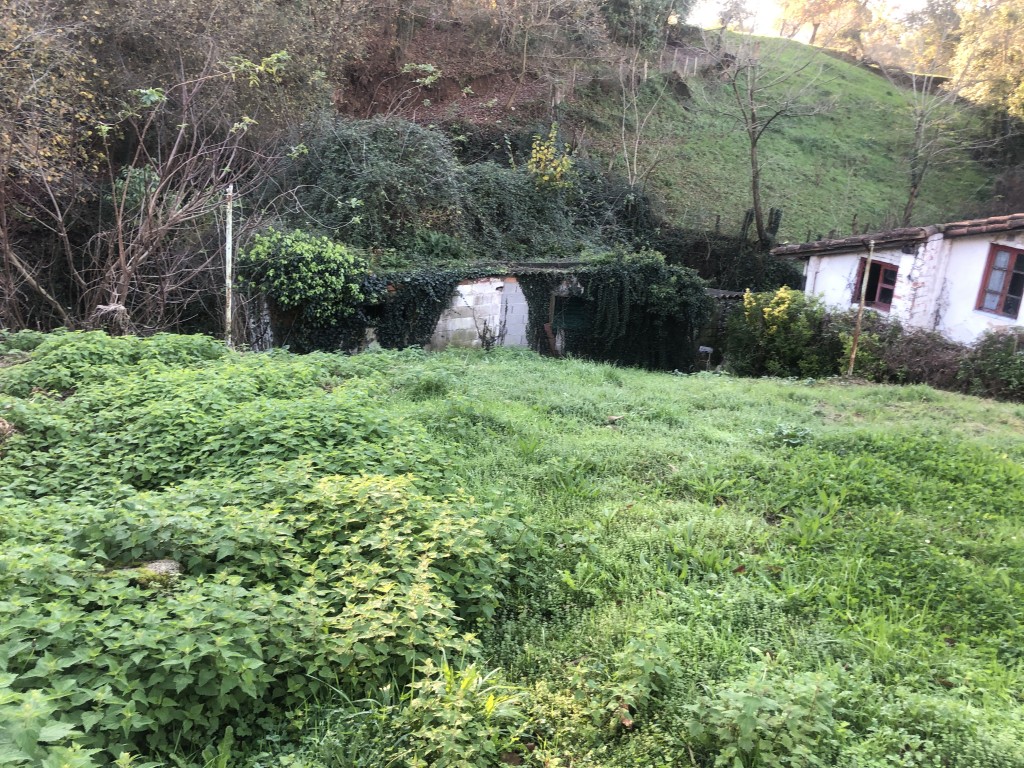 Casa-Chalet en Venta en Viernoles Cantabria - foto 5