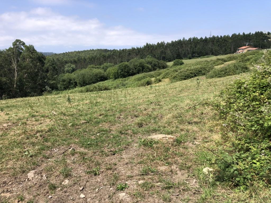 Casa de pueblo en Venta en Concha, La (Villaescu) Cantabria - foto 3
