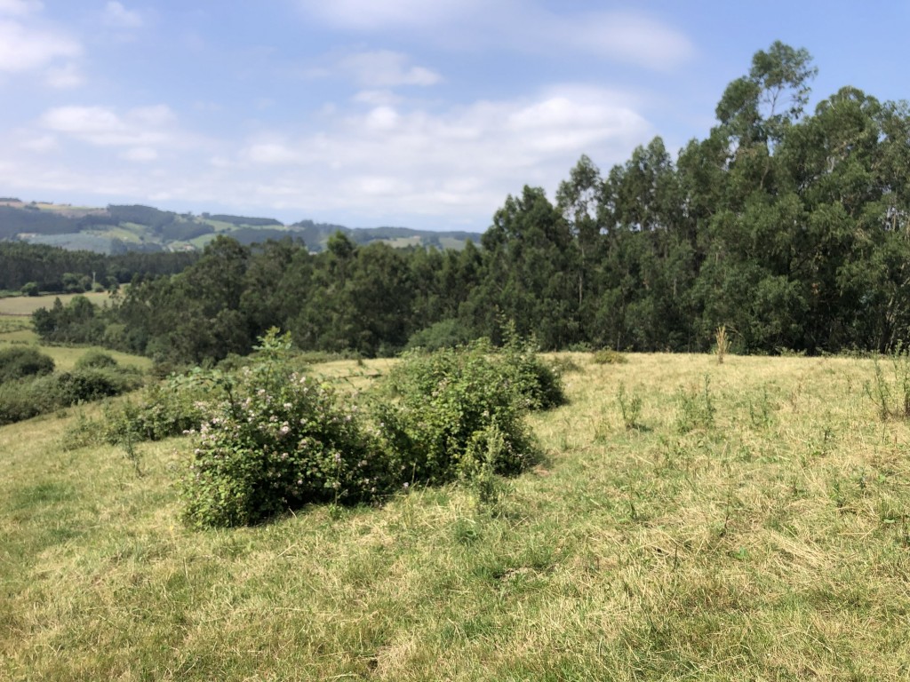 Casa de pueblo en Venta en Concha, La (Villaescu) Cantabria - foto 4