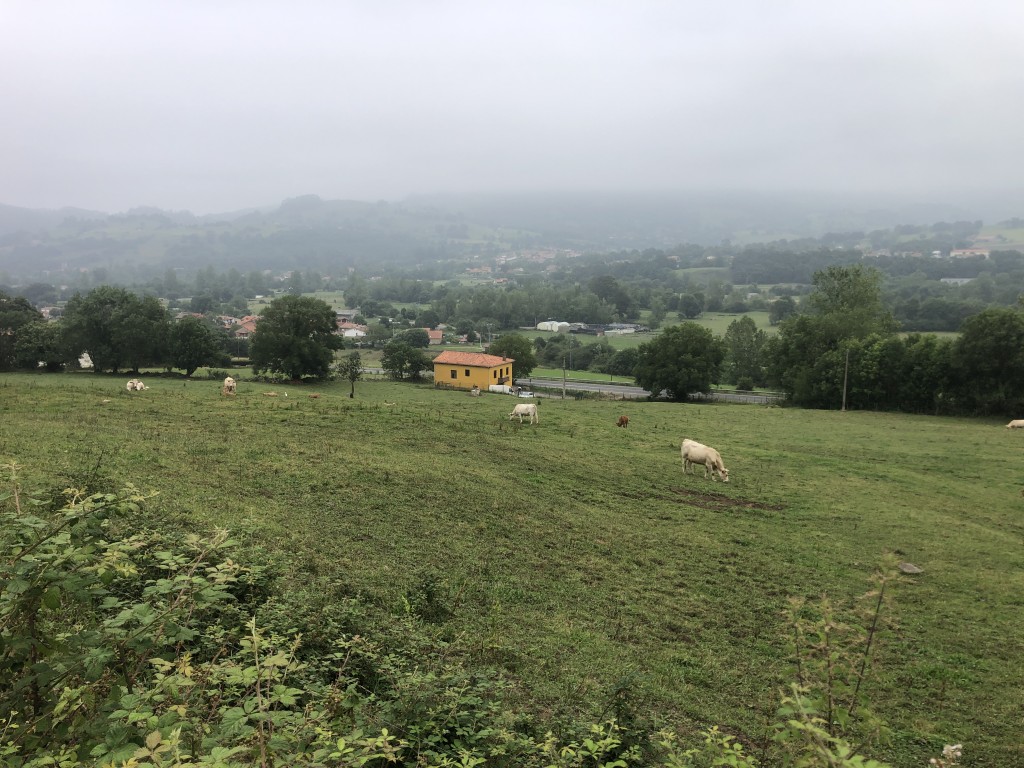 Casa-Chalet en Venta en Prases Cantabria
