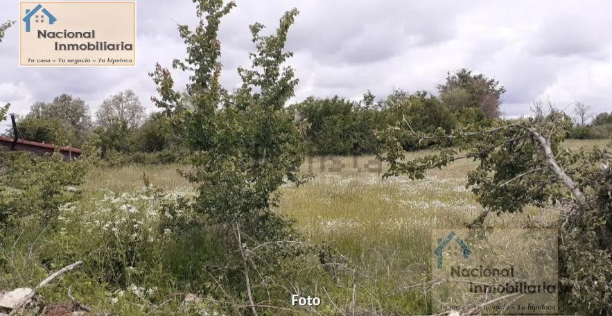 Suelo urbanizable en Venta en Santo Tome Del Puerto Segovia