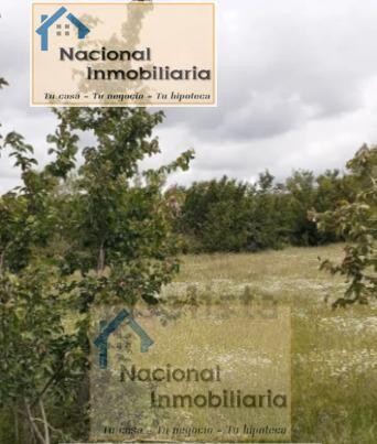 Suelo urbanizable en Venta en Santo Tome Del Puerto Segovia - foto 3