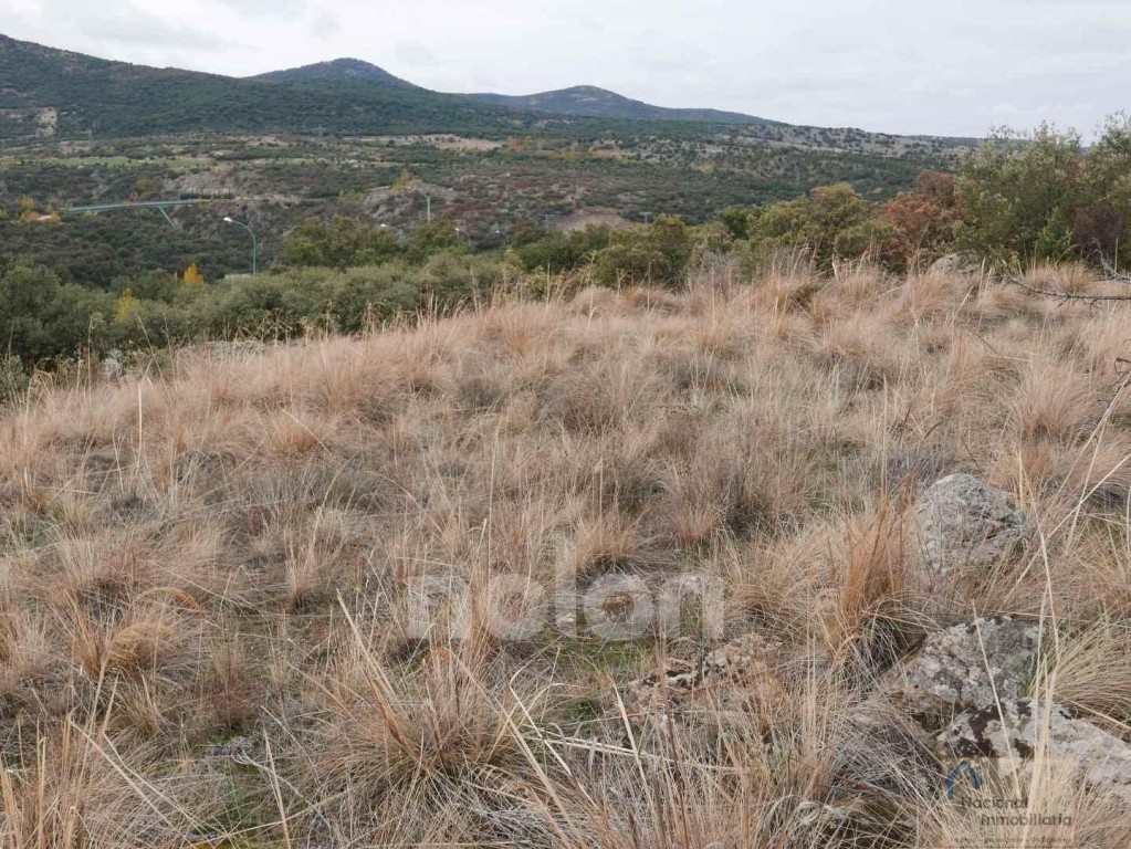 Suelo urbanizable en Venta en Angeles De San Rafael, Los Seg - foto 7