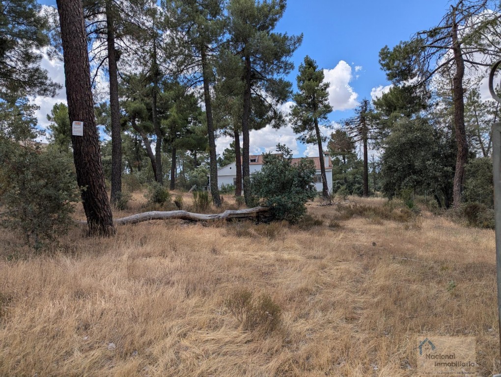 Casa-Chalet en Venta en Marugan Segovia - foto 5