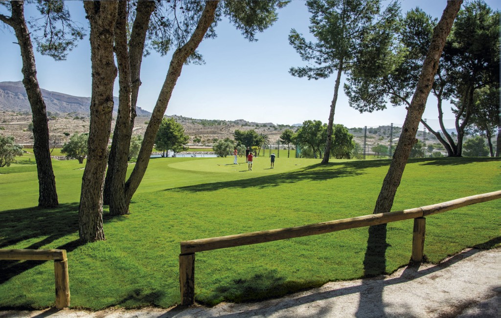 Casa-Chalet en Venta en Monforte Del Cid Alicante - foto 17