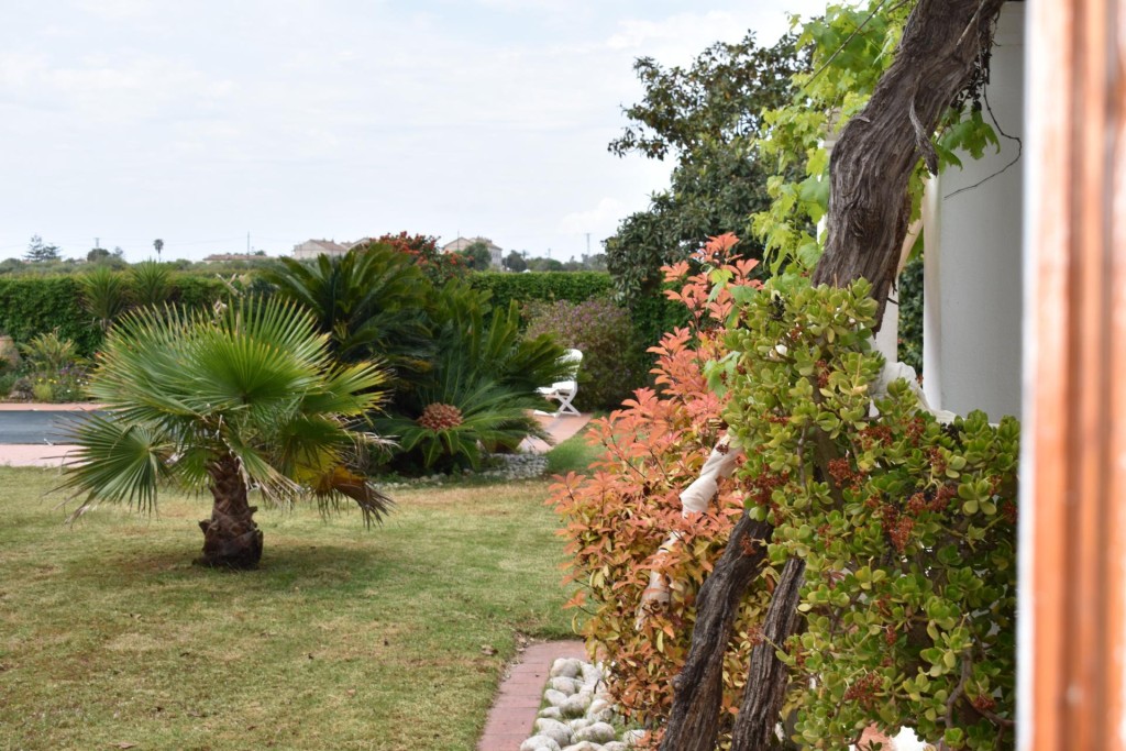 Chalet con piscina, jardín y 2 almacenes grandes cerca de la - foto 17