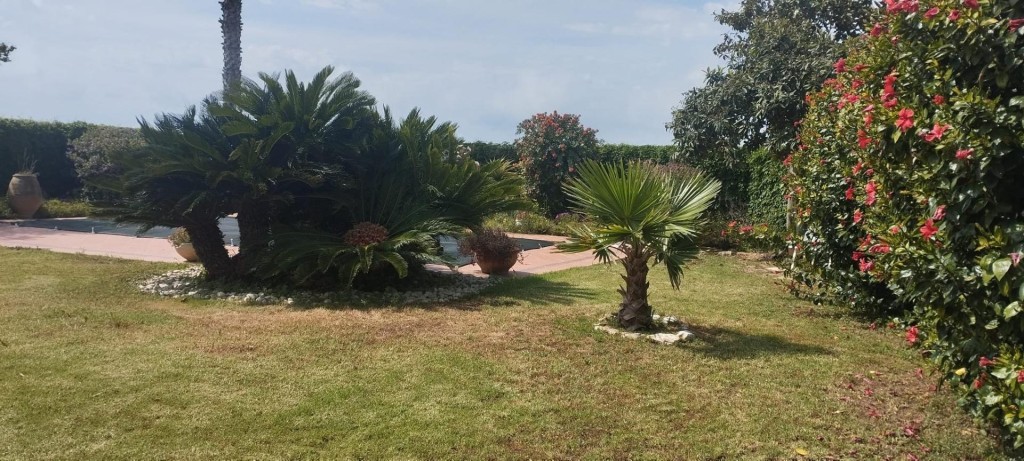 Chalet con piscina, jardín y 2 almacenes grandes cerca de la - foto 3