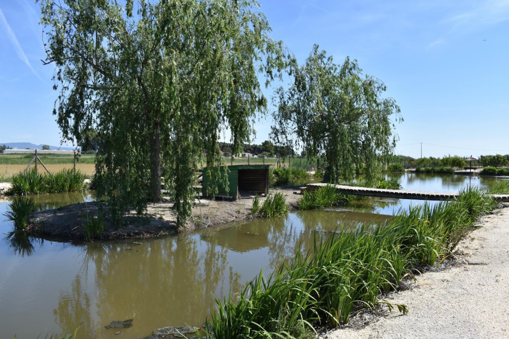 Finca rustica en el Parque natural del Delta del Ebro!