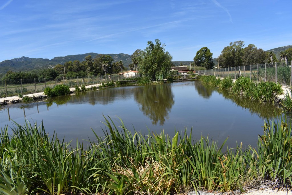 Finca rustica en el Parque natural del Delta del Ebro! - foto 16