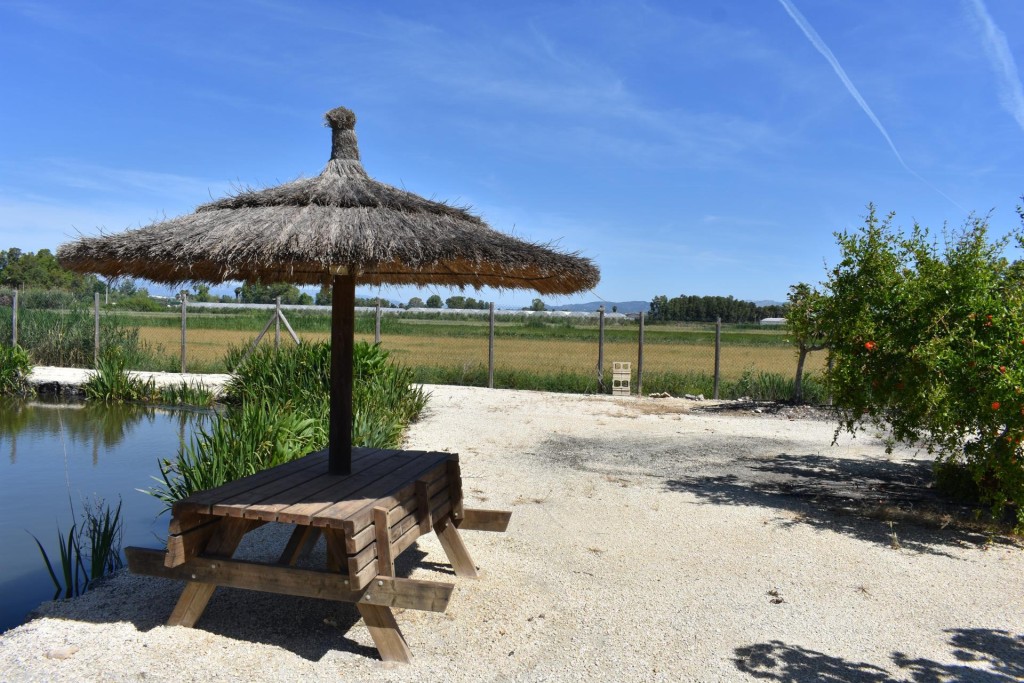 Finca rustica en el Parque natural del Delta del Ebro! - foto 20