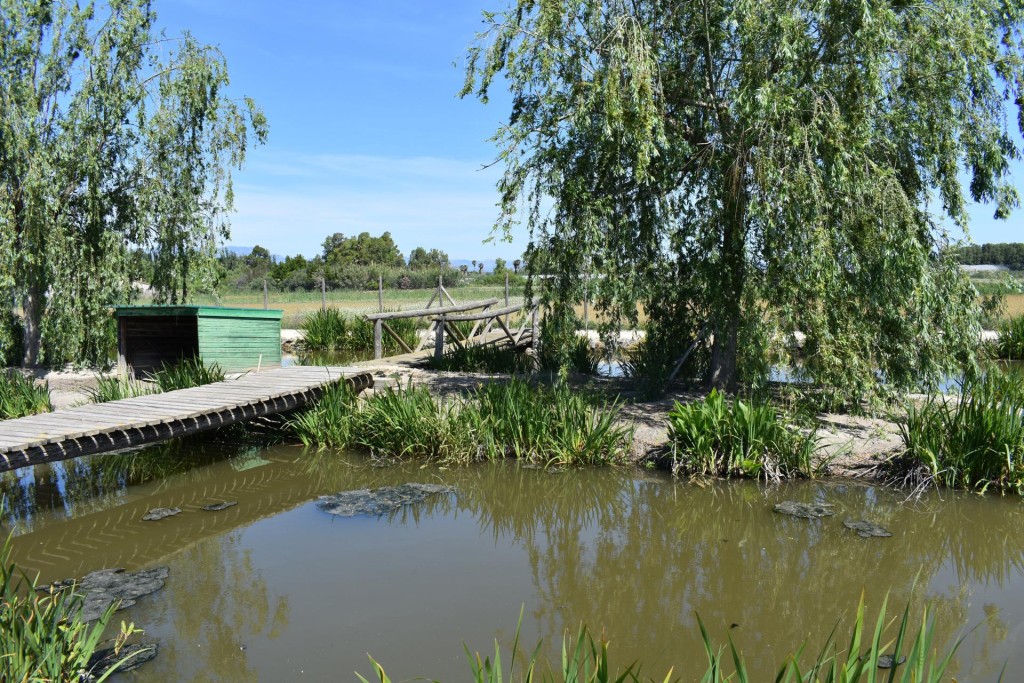Finca rustica en el Parque natural del Delta del Ebro! - foto 21