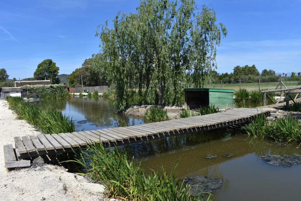 Finca rustica en el Parque natural del Delta del Ebro! - foto 22