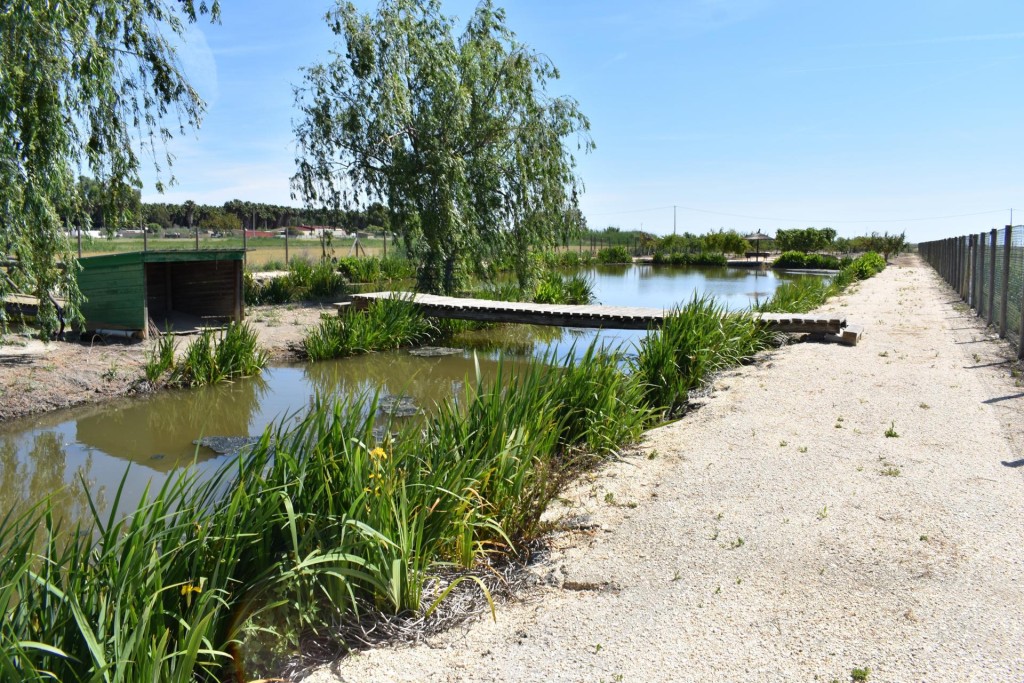 Finca rustica en el Parque natural del Delta del Ebro! - foto 23