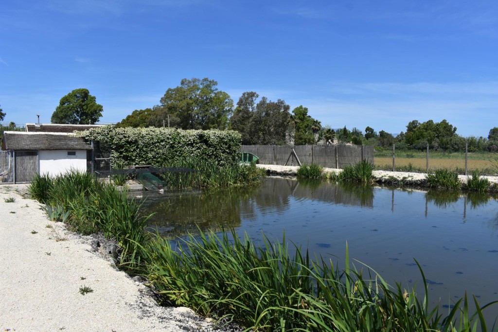 Finca rustica en el Parque natural del Delta del Ebro! - foto 24