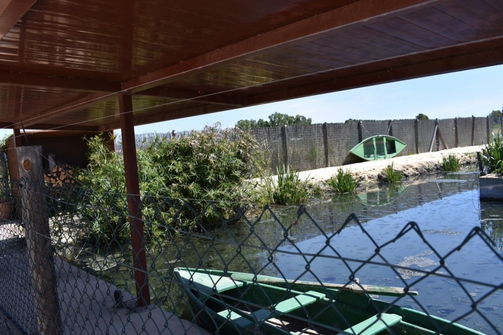 Finca rustica en el Parque natural del Delta del Ebro! - foto 29