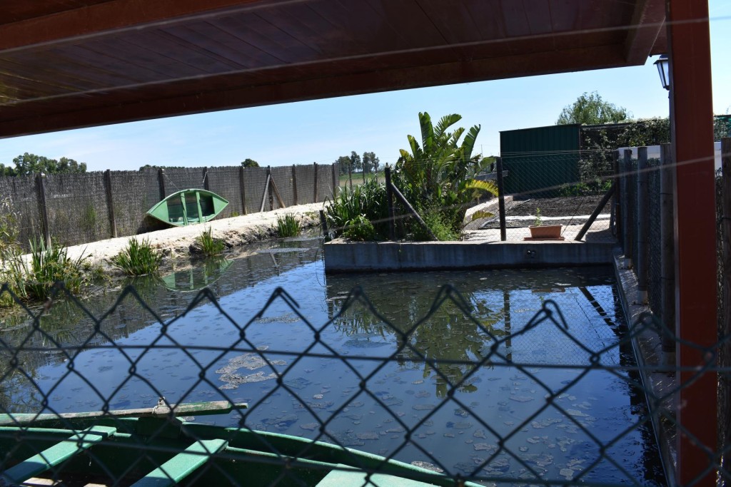 Finca rustica en el Parque natural del Delta del Ebro! - foto 30