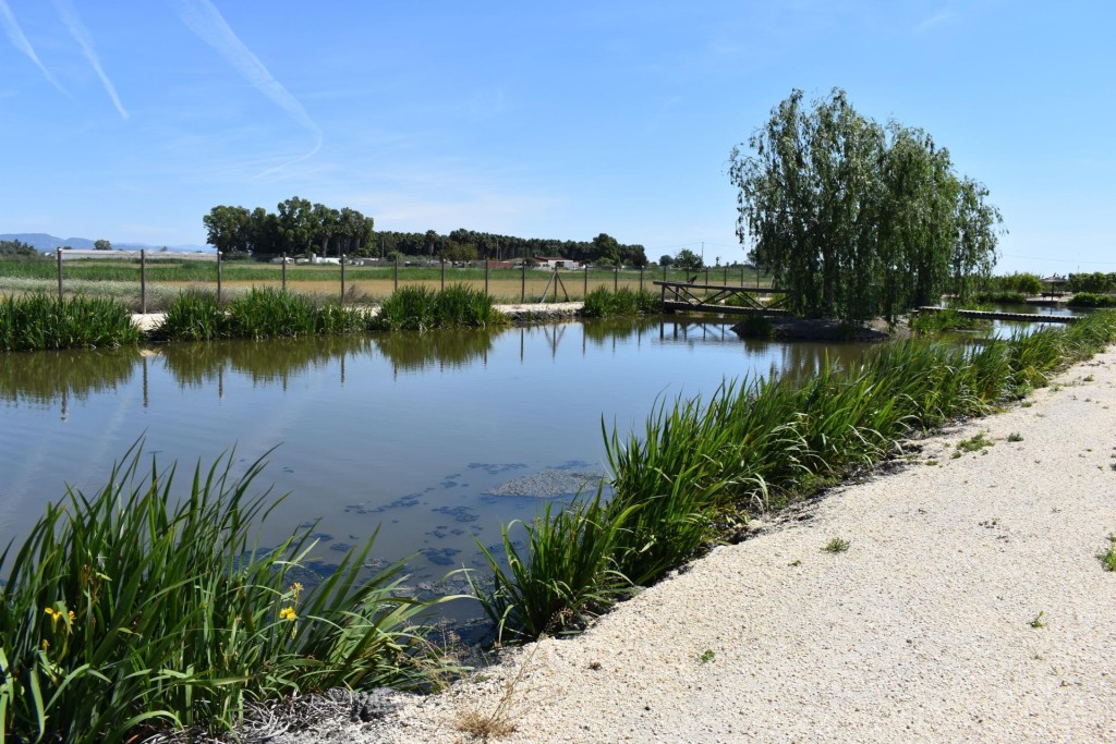 Finca rustica en el Parque natural del Delta del Ebro! - foto 4