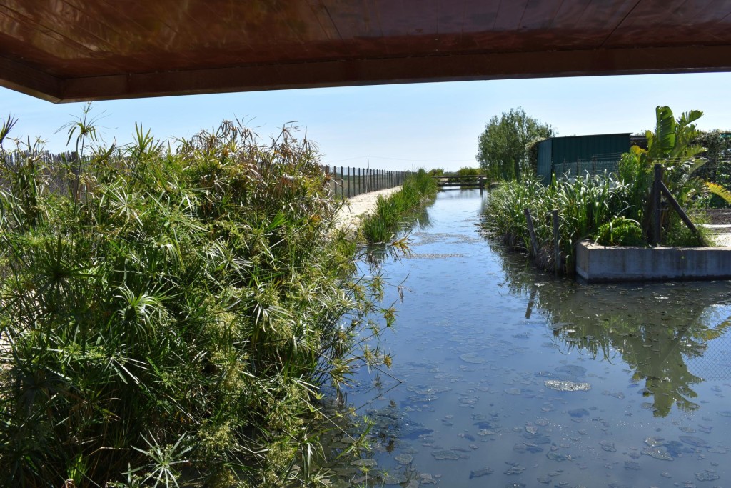 Finca rustica en el Parque natural del Delta del Ebro! - foto 33