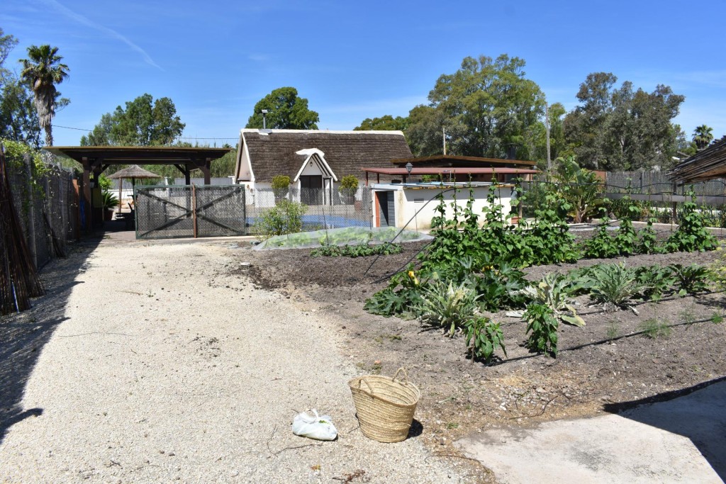 Finca rustica en el Parque natural del Delta del Ebro! - foto 9