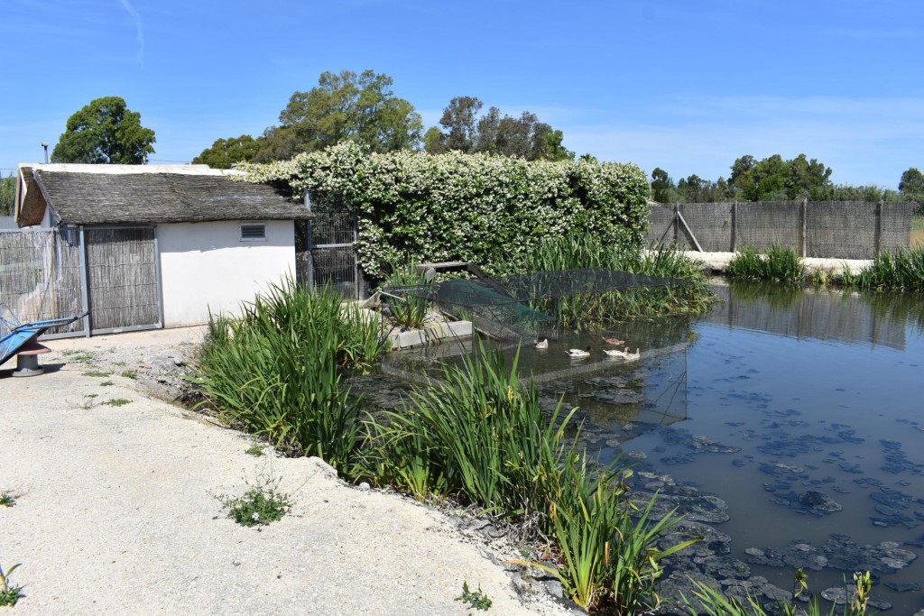 Finca rustica en el Parque natural del Delta del Ebro! - foto 10