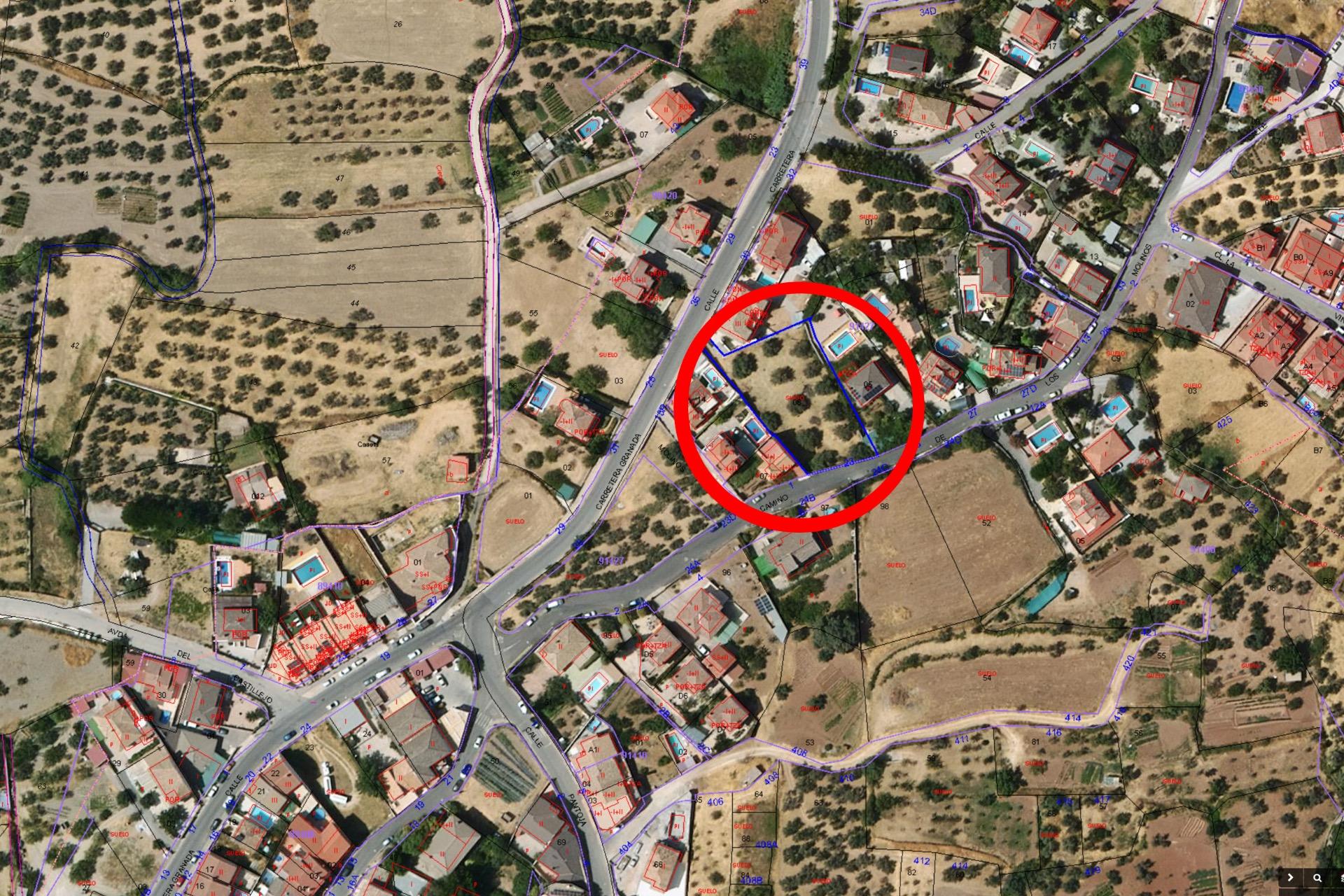 GRAN FINCA URBANA EN NIVAR! - foto 2