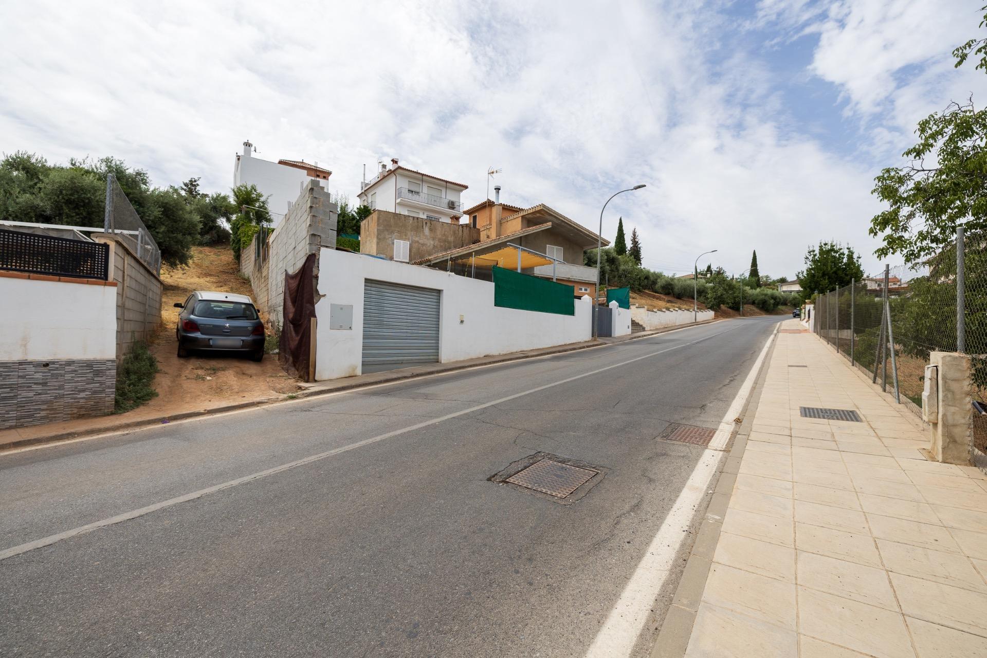 GRAN FINCA URBANA EN NIVAR! - foto 12