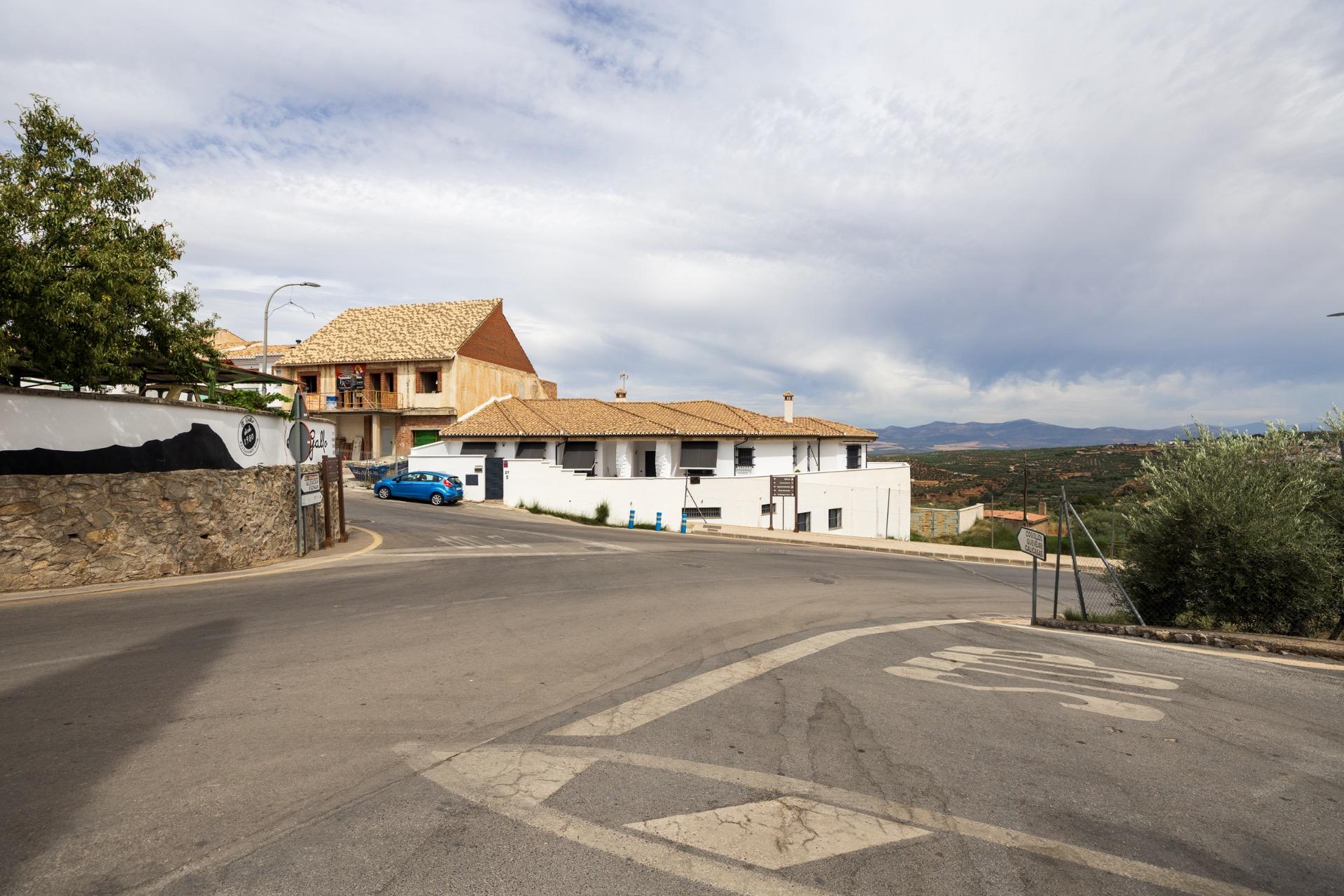 GRAN FINCA URBANA EN NIVAR! - foto 9