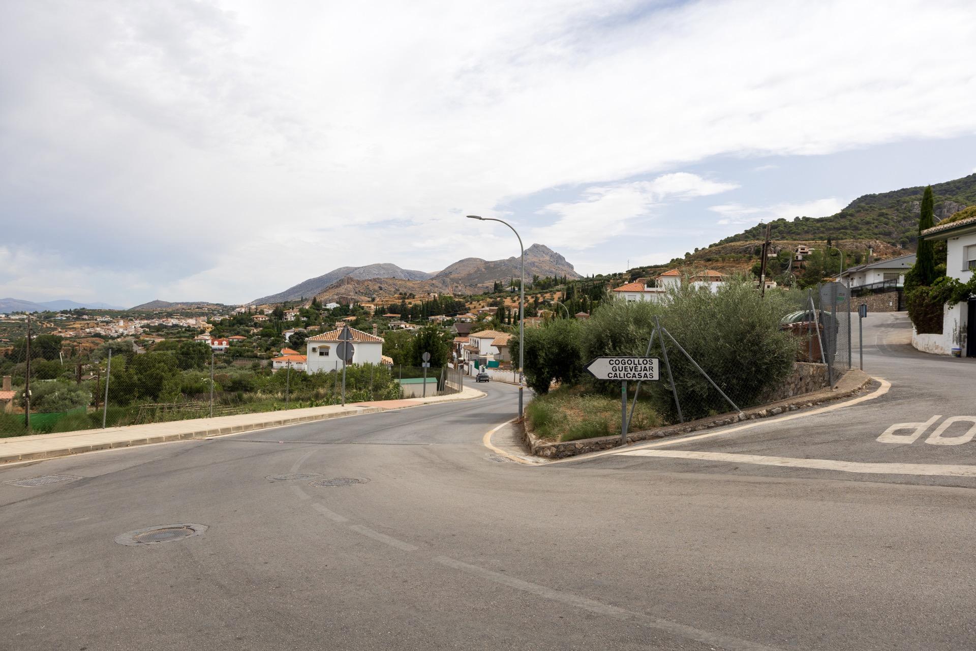 GRAN FINCA URBANA EN NIVAR! - foto 10