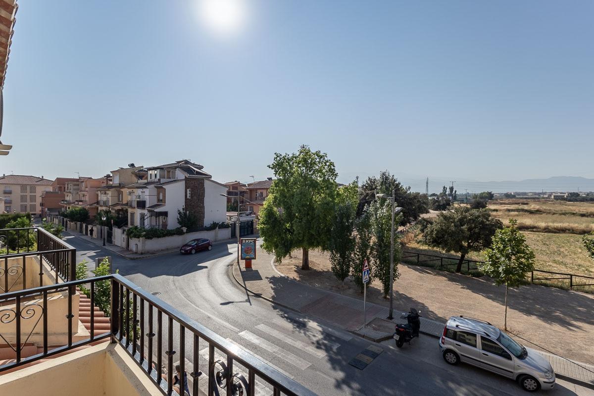 FANTÁSTICA PAREADA EN HÍJAR (LAS GABIAS) - foto 28