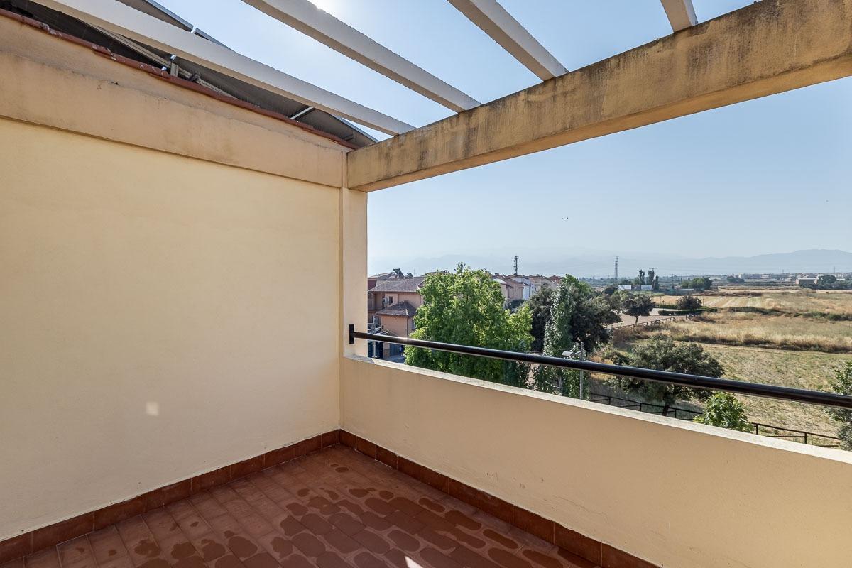 FANTÁSTICA PAREADA EN HÍJAR (LAS GABIAS) - foto 29