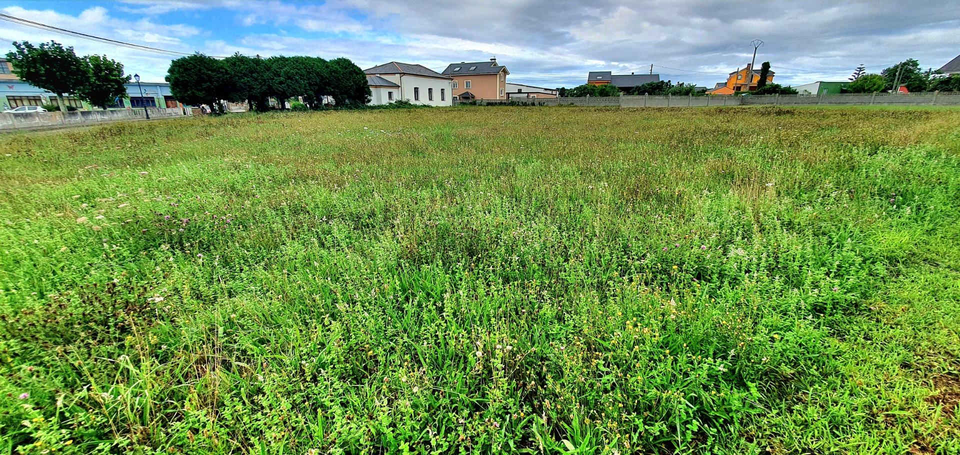 PARCELA EDIFICABLE DE 1.319 m2 – MÁNTARAS (TAPIA DE CASARIEG - foto 2