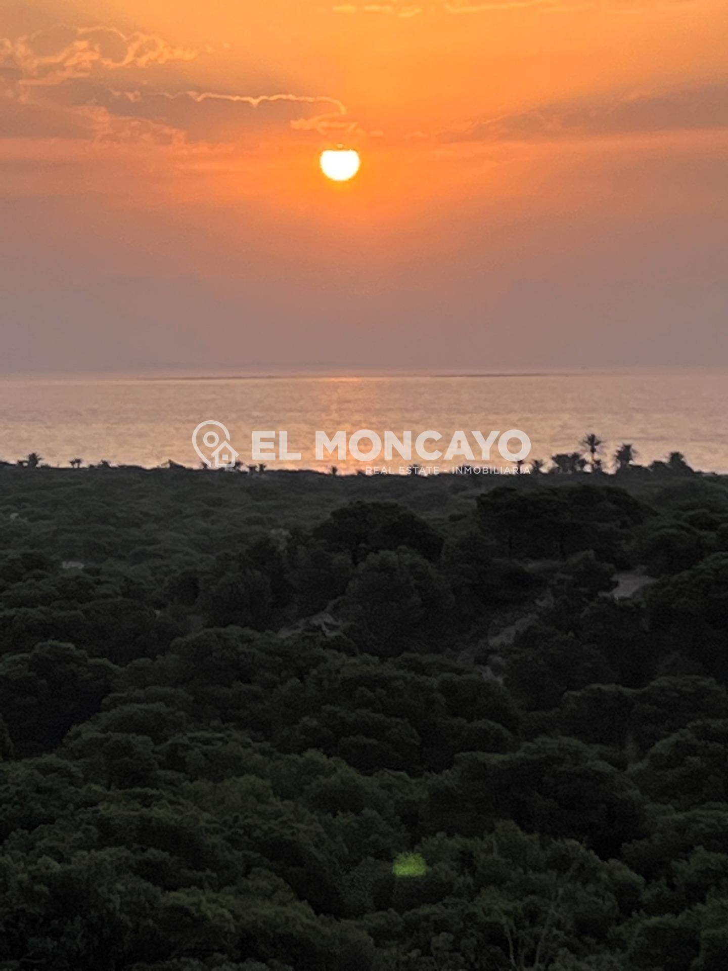 Fantástico apartamento a 100m de las playas de La Mata, Torr - foto 18