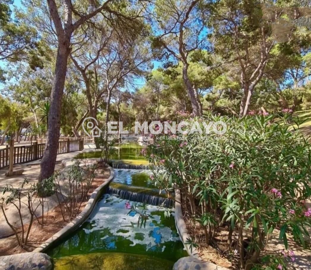Fantástico apartamento a 100m de las playas de La Mata, Torr - foto 21