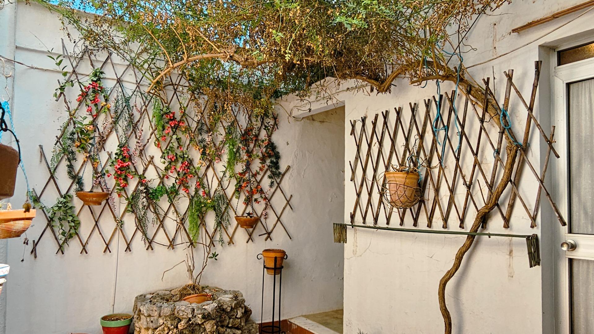 CASA DE PUEBLO EN L 'ALQUERIA DE LA COMTESSA - foto 40