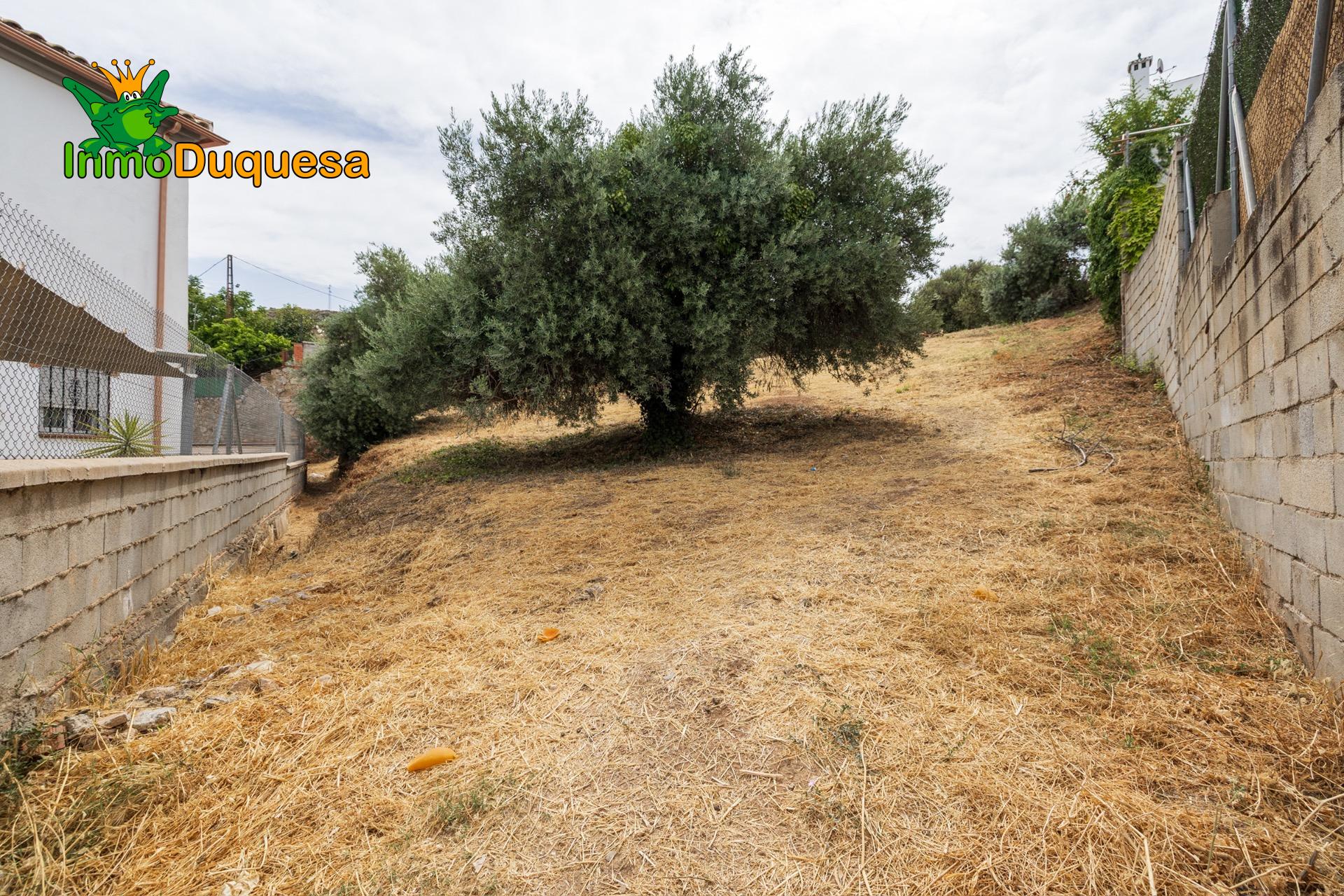 Solar urbano de 1.437 m2 (Con posibilidad de 3 casas). - foto 14