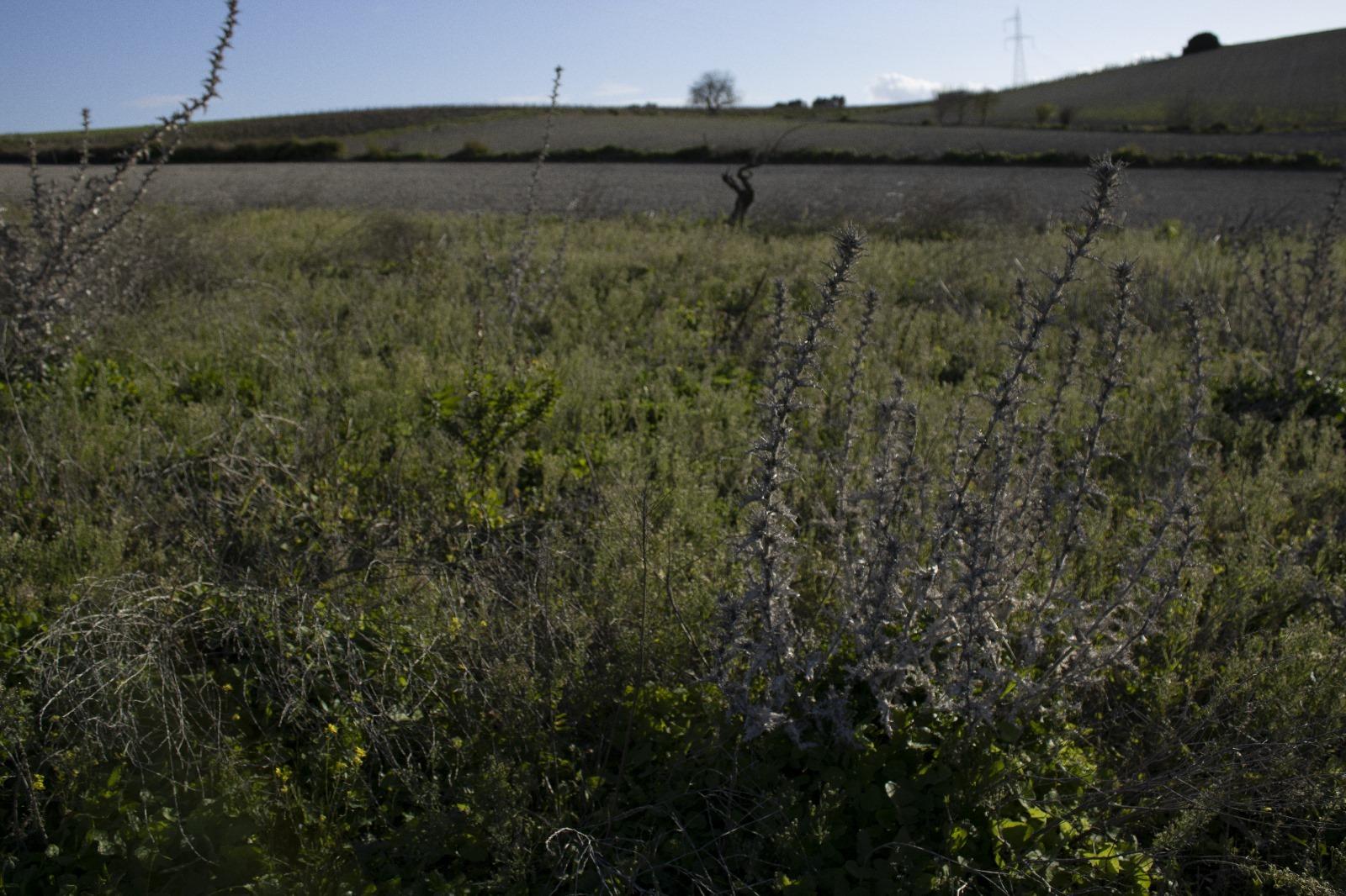 Se vende parcela SEGREGADA en la zona de La Canaleta - foto 4
