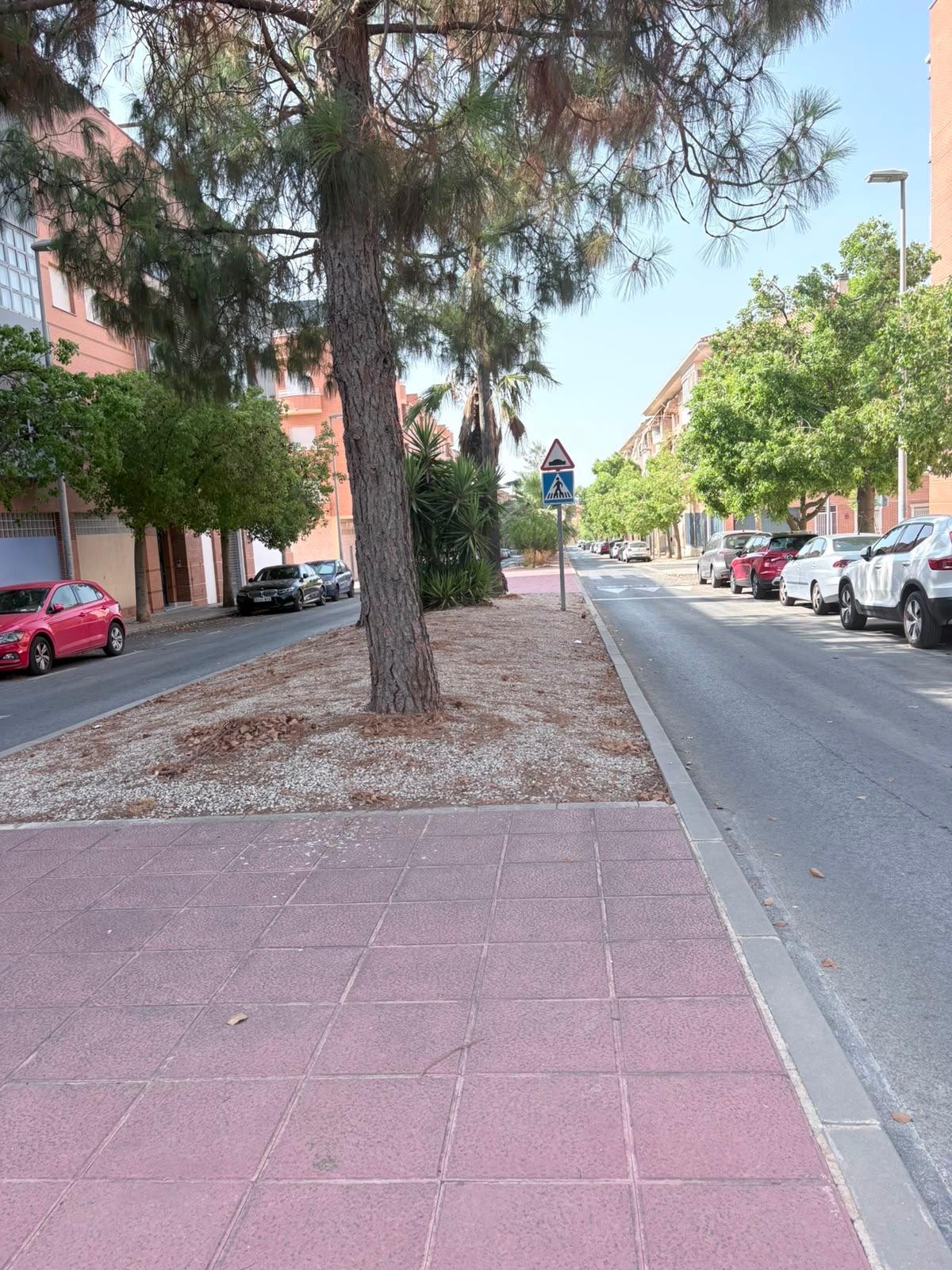Apartamento de dos habitaciones en El Palmar - foto 16