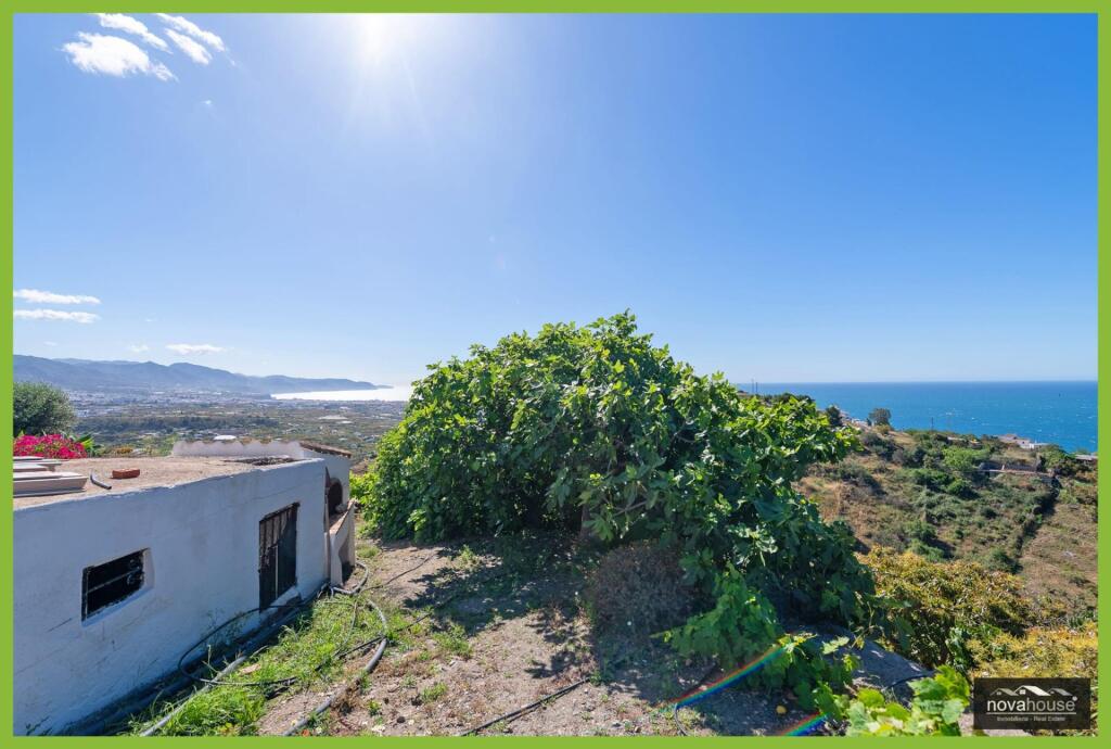Exclusiva finca de aguacates con dos viviendas y espectacula - foto 20