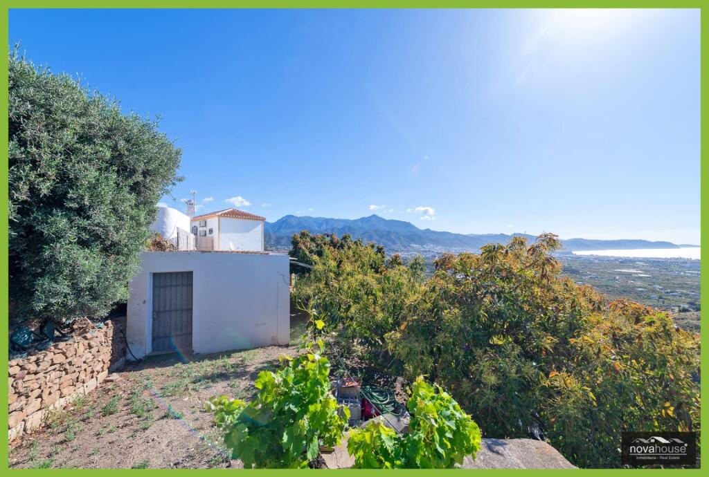 Exclusiva finca de aguacates con dos viviendas y espectacula - foto 22