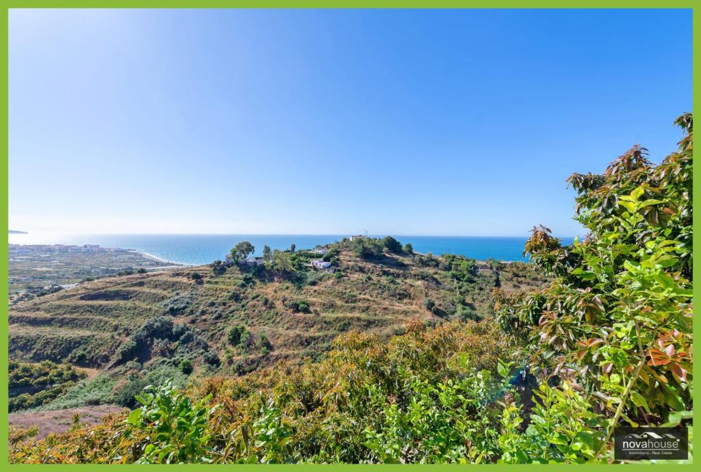 Exclusiva finca de aguacates con dos viviendas y espectacula - foto 37
