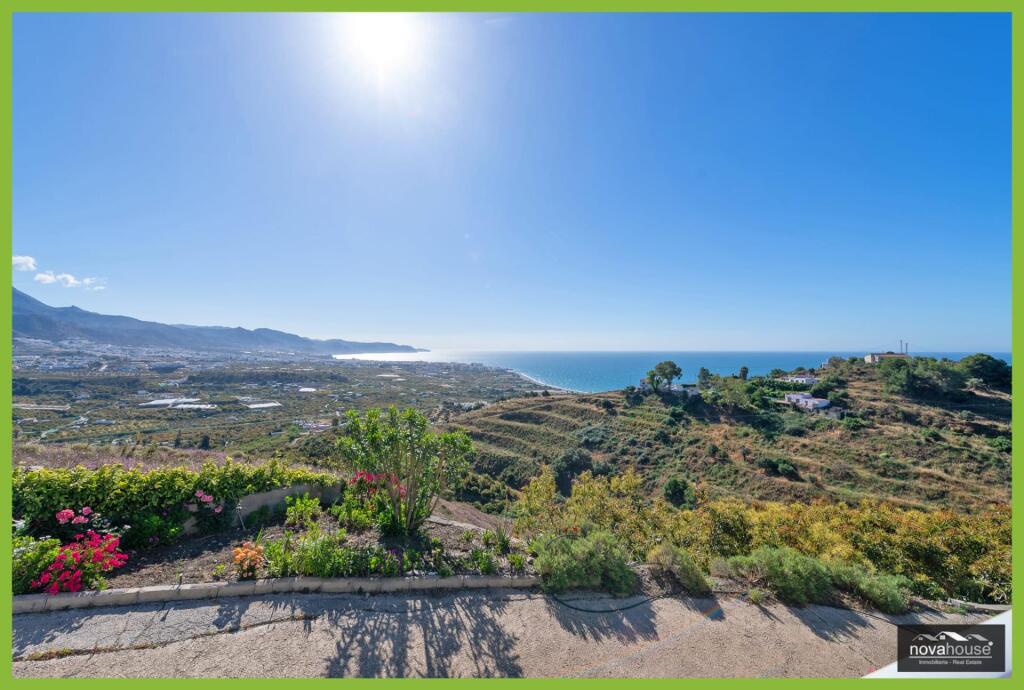 Exclusiva finca de aguacates con dos viviendas y espectacula - foto 40