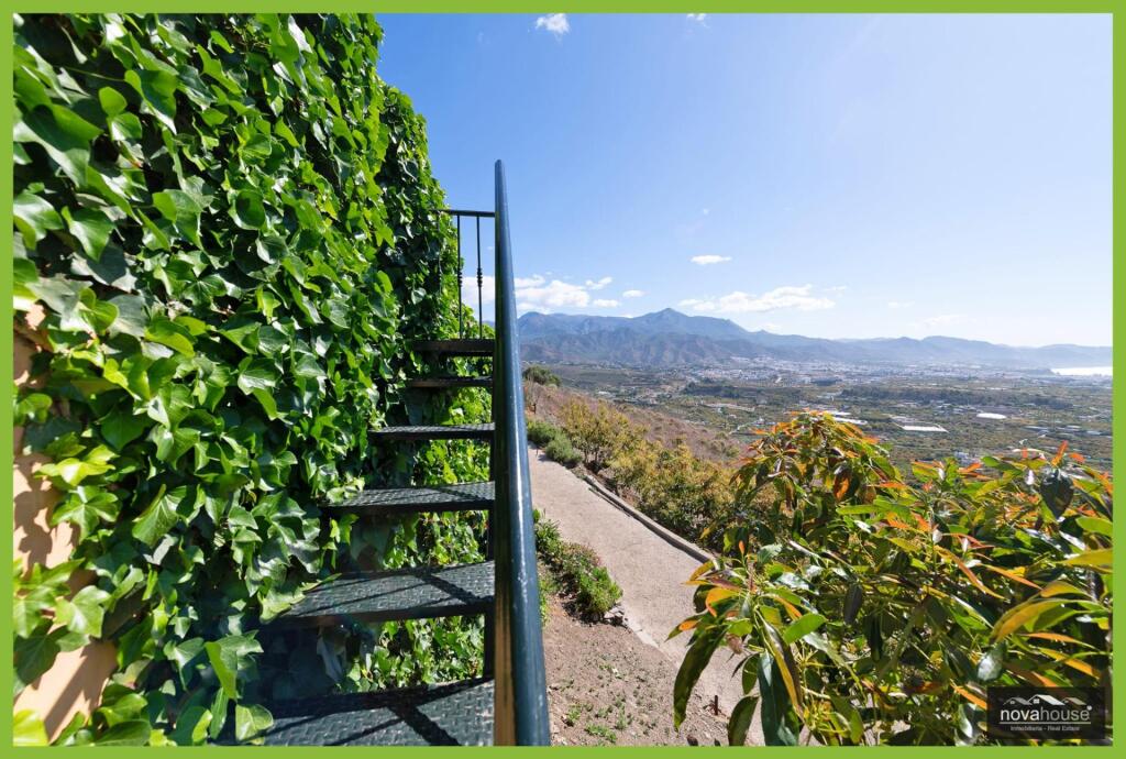 Exclusiva finca de aguacates con dos viviendas y espectacula - foto 41