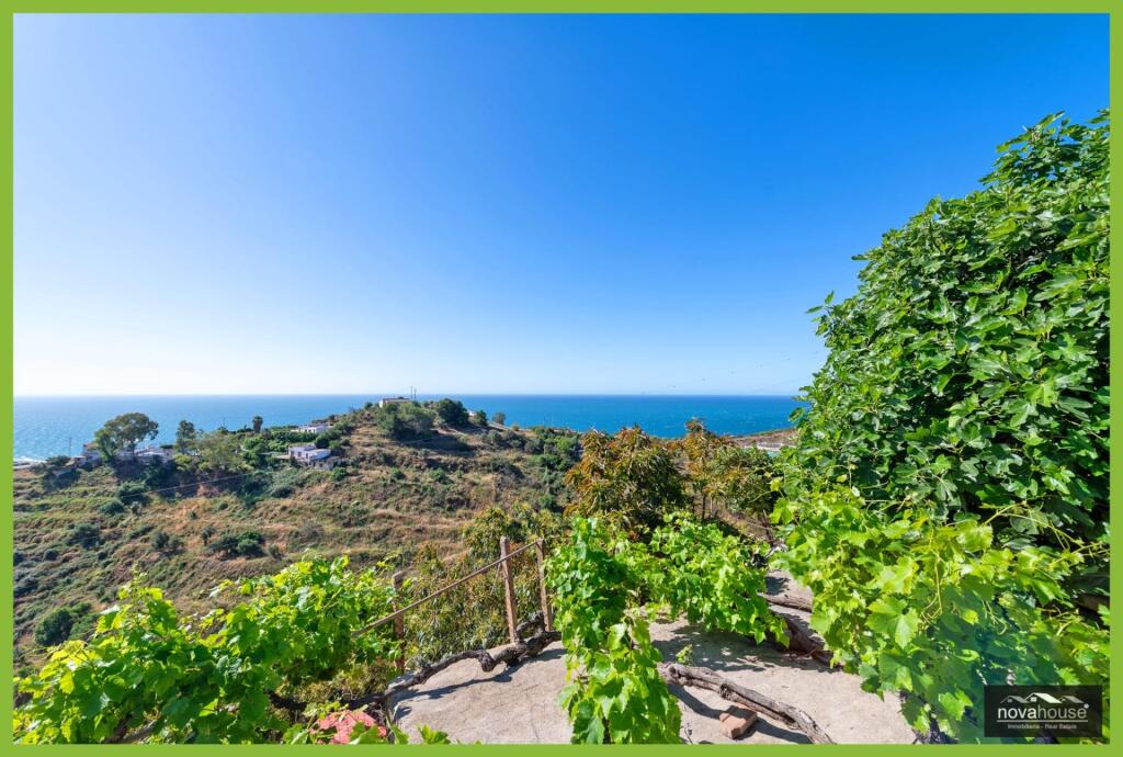 Exclusiva finca de aguacates con dos viviendas y espectacula - foto 42