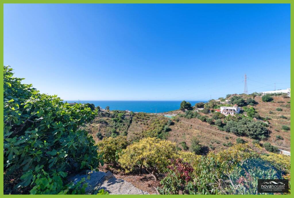 Exclusiva finca de aguacates con dos viviendas y espectacula - foto 43